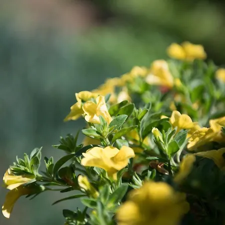 Dimitreli Venetia Отель *