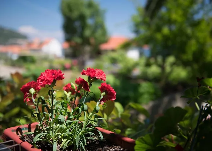 Dimitreli Venetia Hotel *