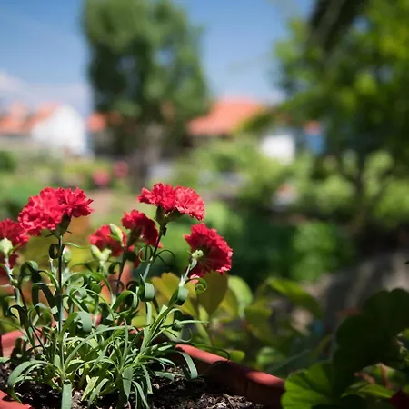 Dimitreli Venetia Hotel *