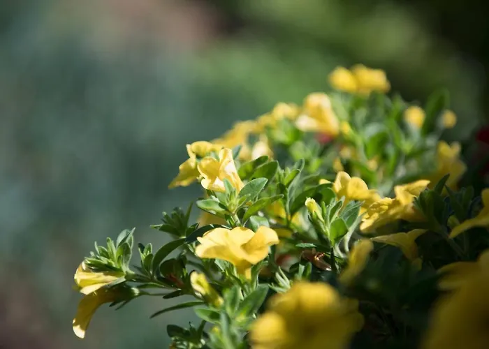 Dimitreli Venetia Hotel *